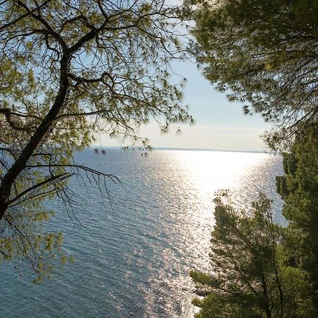 Squirrel Beach Front Villa, Metamorfosi Extérieur photo