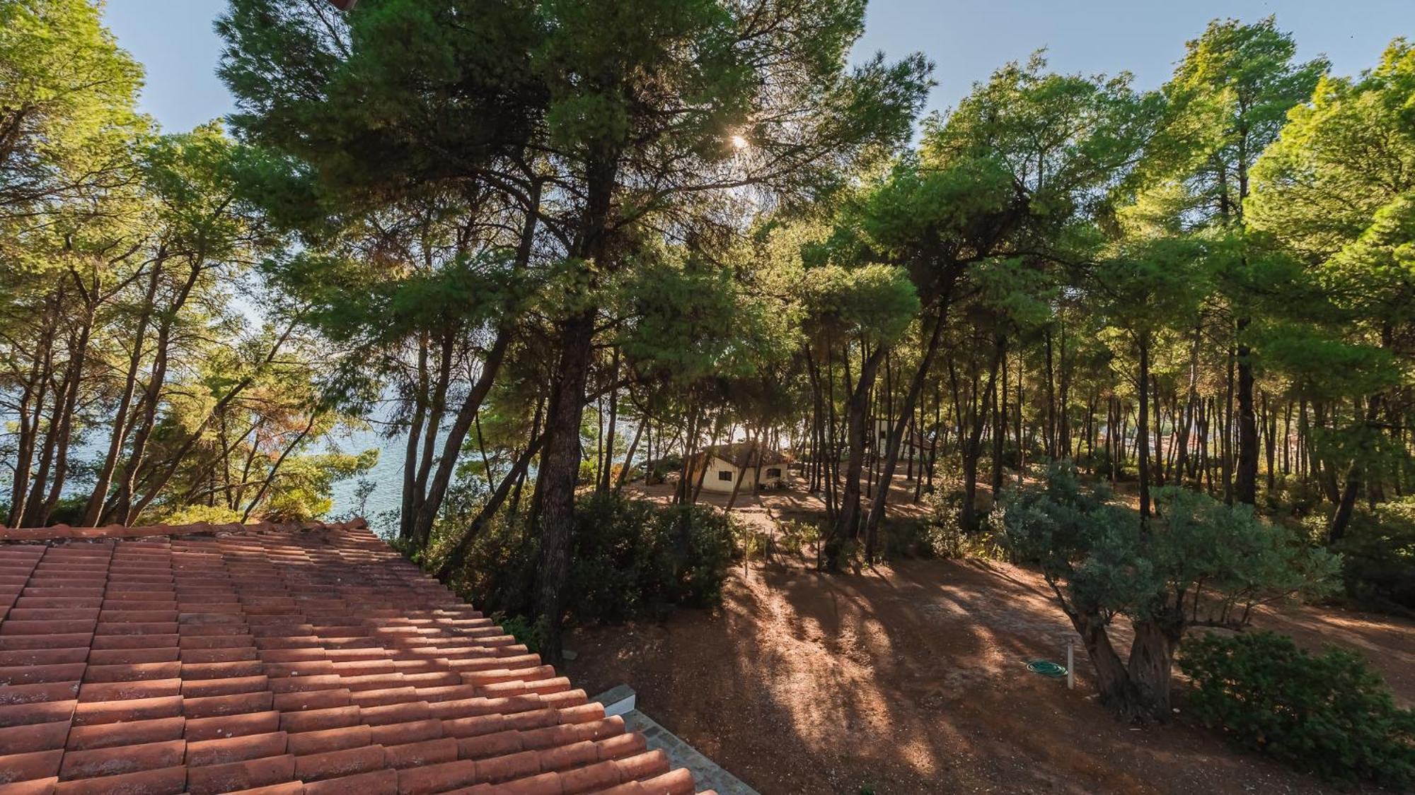 Squirrel Beach Front Villa, Metamorfosi Extérieur photo